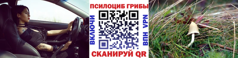Галлюциногенные грибы MAGIC MUSHROOMS  Печоры 